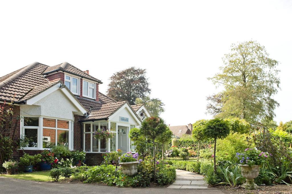 Forest View B&B 兰福德 外观 照片